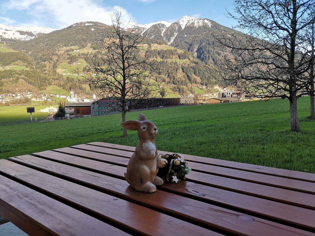Apart Sprenger Fugen Im Zillertal Apartment Exterior photo